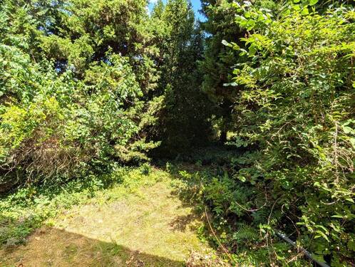 Terrasse - weiterer Blick - 