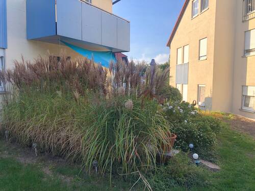 IMG_8964.JPG - Terrassenwohnung in Wilsdruff zum Kaufen