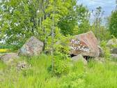 Kreaktive Nachbarn - 