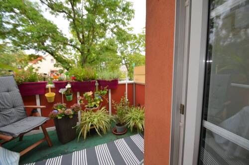 Der gemütliche Balkon.... - ***Bereit für ein Herbstschnäppchen? - Leben oder Investieren in Berlin Pankow***