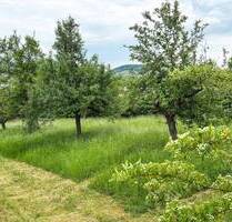 Ein Ort, zwei Welten: Wohnen und Arbeiten vereint - Würzburg Heidingsfeld