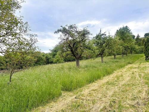 Grundstück - Grundstück zum Kaufen in Würzburg