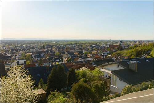Blick über die Rheinebene - 