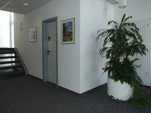 Peter Zimmer 3 - 8 Zimmer Büro in Saarbrücken