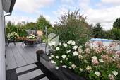 Blick auf Terrasse und Poole - 5 Zimmer Einfamilienhaus in Borna