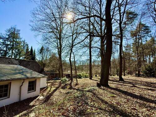 Wald hinter dem Haus - 