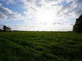 Bild... - 