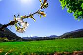 DSC_6393 - 