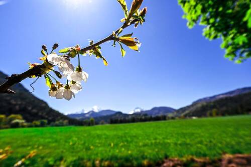 DSC_6393 - 