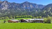 DJI_20260415152303_0637_D - 2 Zimmer Bauernhaus, Landhaus zum Kaufen in Berchtesgaden