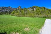 DSC_6345 - 