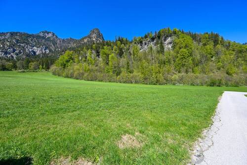 DSC_6345 - 