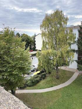 Außenanlage - 