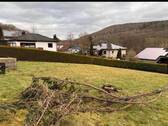 Bild 2 - 4 Zimmer Einfamilienhaus zum Kaufen in Körle