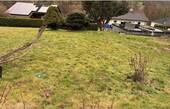 Bild 3 - 4 Zimmer Einfamilienhaus in Körle
