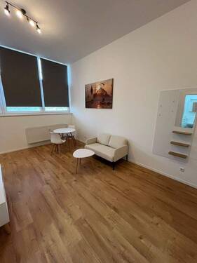 Blick in den Wohnbereich - 1 Zimmer Etagenwohnung zur Miete in Fürth