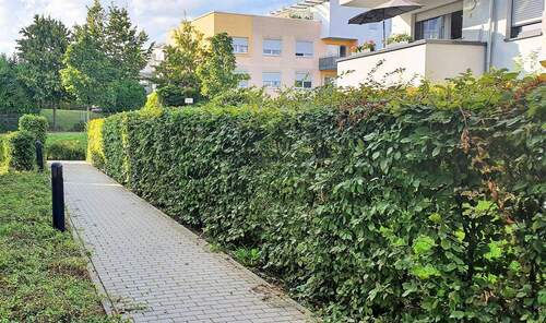 Aussenanlage 2 - Etagenwohnung mit 59,40 m² in Wiesbaden zur Miete