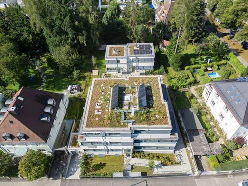 begrünte Flachdächer - 