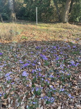 Bild 1 - Naturgrundstück - 110.000,00&nbsp;EUR Kaufpreis, ca.&nbsp; 0,00&nbsp;m&sup2;