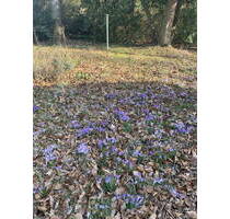 Naturgrundstück - 110.000,00&nbsp;EUR Kaufpreis, ca.&nbsp; 0,00&nbsp;m&sup2; in Hamfelde (PLZ: 22929)