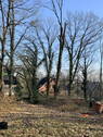 Bild 3 - Grundstück in Hamfelde