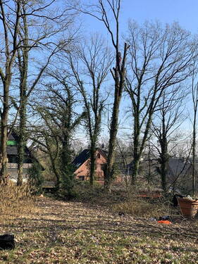 Bild 3 - Grundstück in Hamfelde