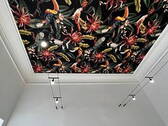 Bild 7 - 