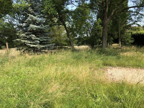 Blick in den Garten - Grundstück in Bad Dürrenberg