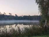 Kammerweiher (1) - 