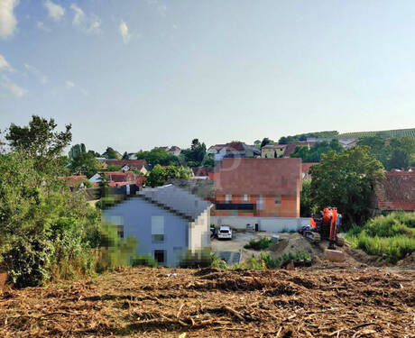 Blickrichtung Westen im Sommer 2021 - 