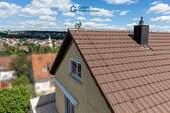 Der Schlafwandler - 