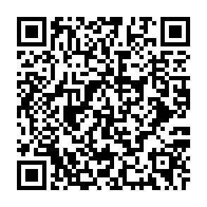 QR-Code - 