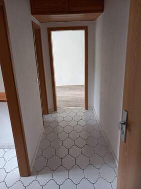 20250731_115235.jpg - 