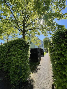 Bild 1 - Exklusives Wohnen im Grünen in BESTLAGE: Stilvolle 3-Zimmer-Wohnung mit Terrasse in Bonn
