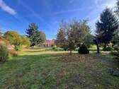 Obstgarten - 