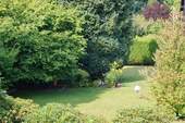 Garten-Sommer - 