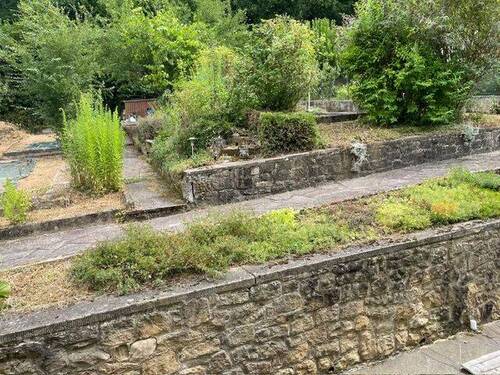 Ausschnitt vom Garten - 