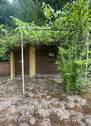 ein kleines Gartenhaus ist auich vorhanden - 