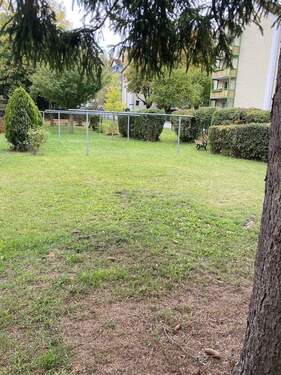 Gemeinschaftsgarten - 