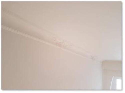 Stuck Zimmer II - 