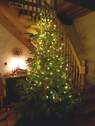 Weihnachten auf der Diele - 