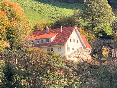 Blick auf Schwarzschniederhof - Mehrfamilienhaus, Wohnhaus in Oppenau zum Kaufen