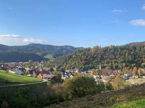 Blick auf Oppenau - 