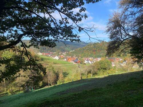 Blick auf Oppenau.jpg - 