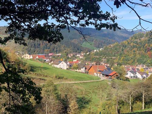 Blick auf Oppenau.jpg - 