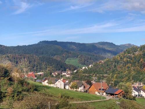 Blick auf Oppenau.jpg - 