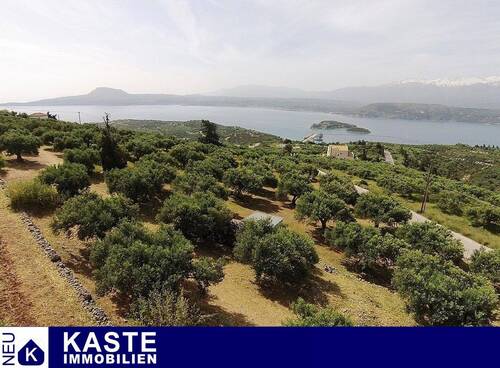 Titel - Großer abfallender Olivenhain oberhalb der Bucht von Souda, ideal für den Tourismus