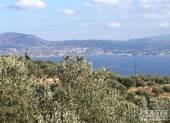 Aussicht - 