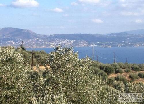 Aussicht - 