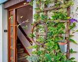 Hauseingang - 